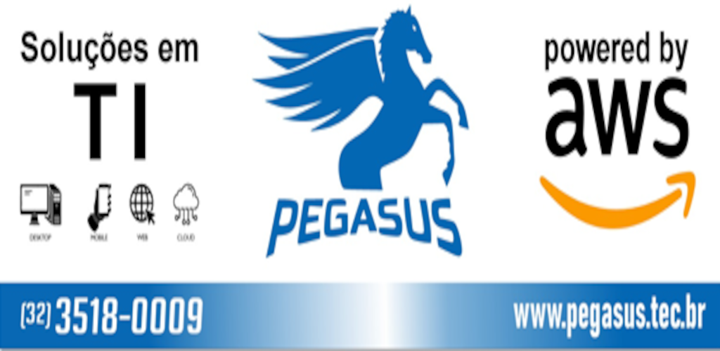 Pegasus Soluções em TI